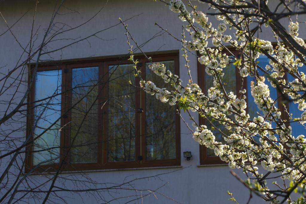 Farah Superior Apartments Bihać Buitenkant foto